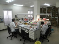 El Laboratorio